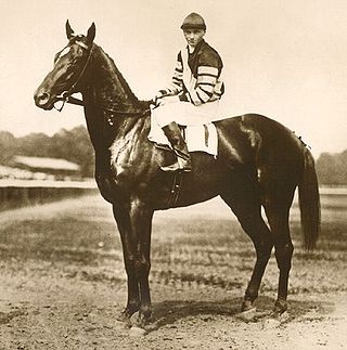 <span class="mw-page-title-main">Clarence Kummer</span> American jockey (1899–1930)