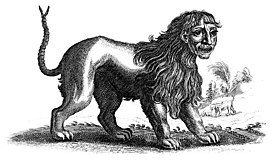 Manticore (1678)