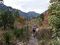 McKittrick Canyon Trail 2008.jpg