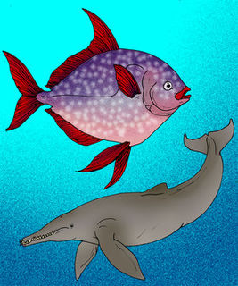 <i>Megalampris</i> Extinct species of fish