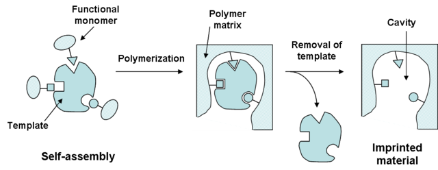 Preparation of molecularly imprinted material