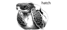 Standard Event System character depiction N1. Hatch (V14a).png