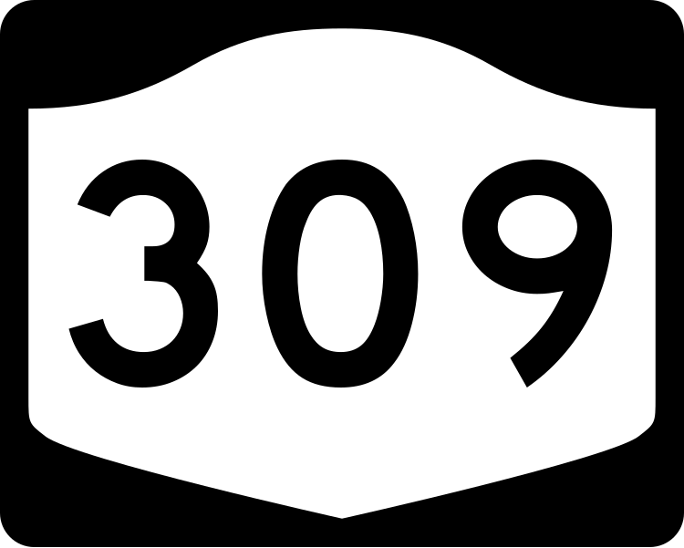 File:NY-309.svg