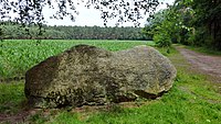 Natural monument "Paul-Woldstedt-Stein" near Mardorf