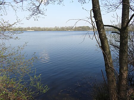 Naturschutzgebiet Baggersee HohenfeldeDSC01903