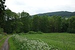 Naturschutzgebiet Im Bäumchen