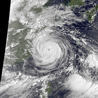 Typhoon Nelson (1985) Category 2 Pacific typhoon in 1985