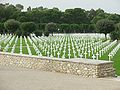 Thumbnail for North Africa American Cemetery and Memorial