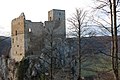 Ruine Reußenstein: Geographische Lage, Naturschutz, Geschichte, Beschreibung