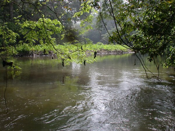 Osun River in osun state, Nigeria