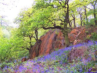 <span class="mw-page-title-main">Outwoods, Leicestershire</span> Park in Leicestershire, England