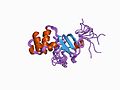 Миниатюра для Файл:PDB 1a63 EBI.jpg