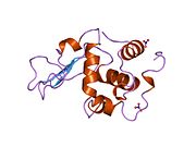 PDB 1jkd EBI.jpg