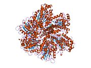 PDB 1nbm EBI.jpg