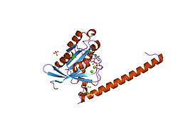 PDB 2gzh EBI.jpg