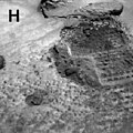 Sojourner's excavations brought materials to the surface for examination and allowed estimates of the mechanical properties of the deposits. This image is of a 7 cm wide excavation through the veneer of a drift. The platy fragment or piece of crust (upper right) was displaced by the rover wheel. NOTE: original caption as published in Science Magazine Mars Pathfinder is the second in NASA's Discovery program of low-cost spacecraft with highly focused science goals. The Jet Propulsion Laboratory, Pasadena, CA, developed and manages the Mars Pathfinder mission for NASA's Office of Space Science, Washington, D.C. JPL is a division of the California Institute of Technology (Caltech).