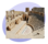 P icon Jerash.png