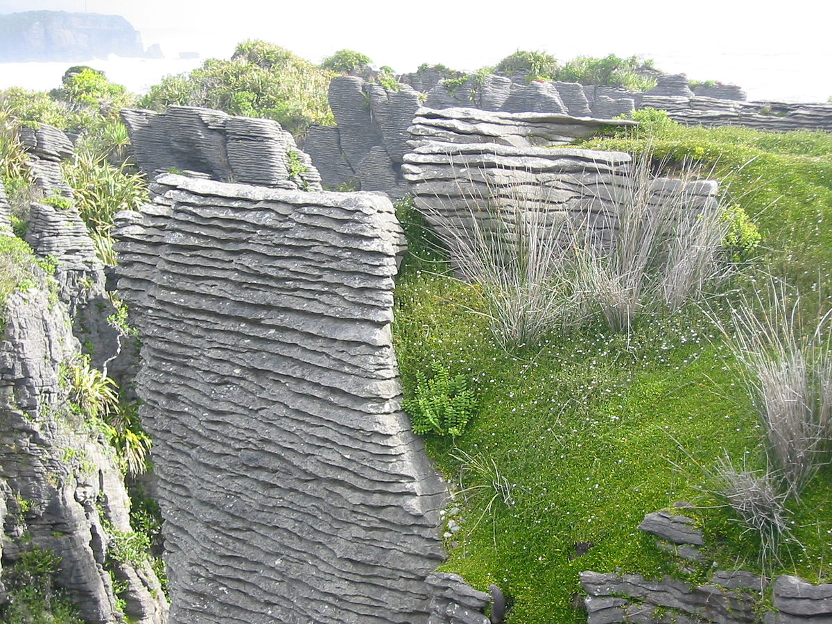 Category Paparoa National Park Wikimedia Commons