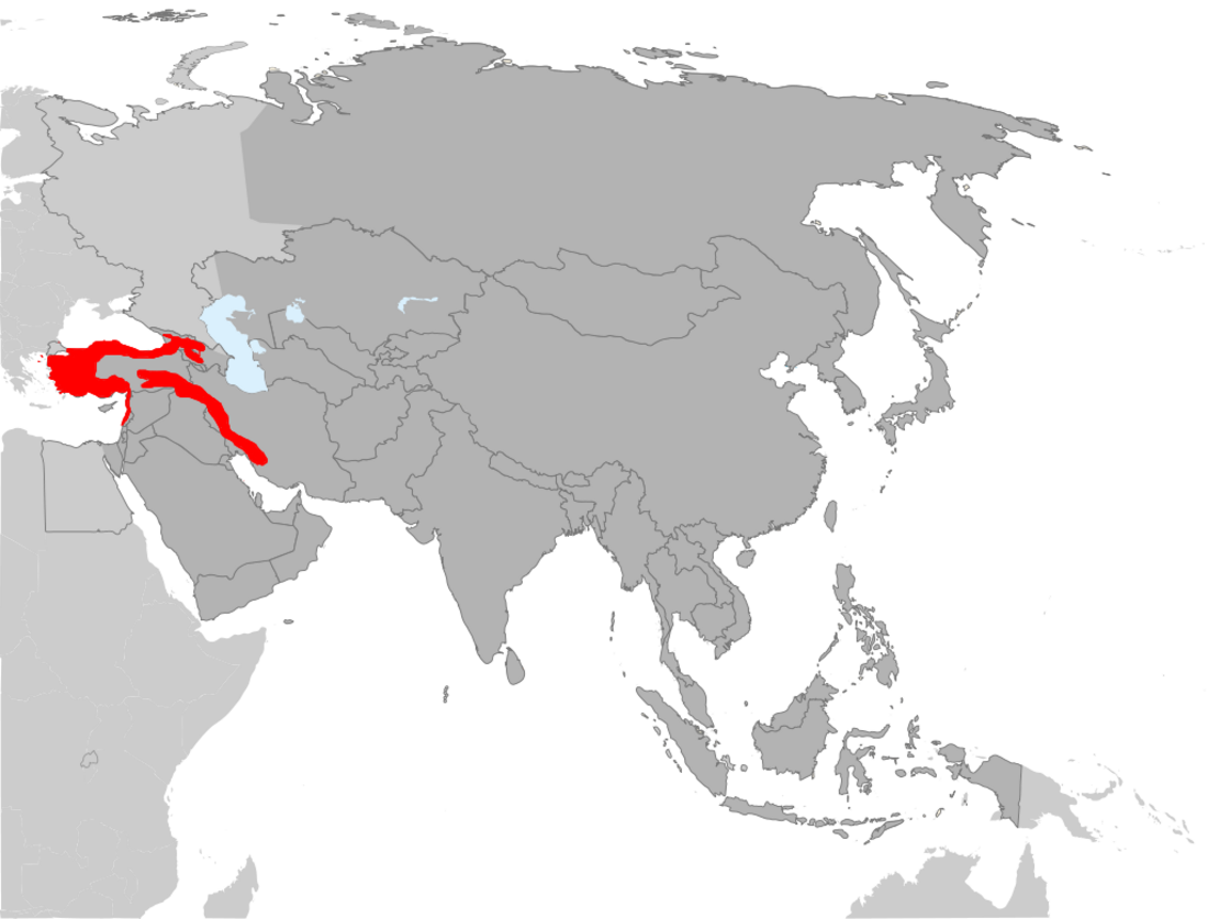 File:Persian squirrel habitat map.png