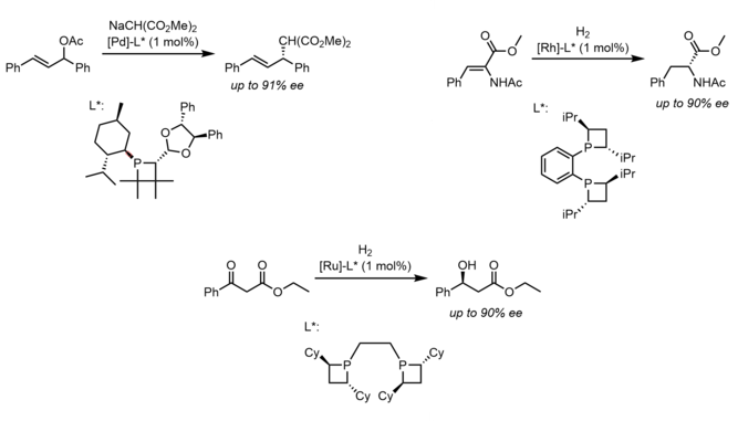 Phosphetane ligands in chiral catalysis PhosphaLigand.png