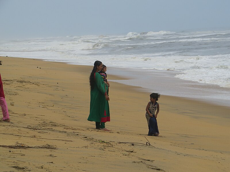 File:Photos taken from a boat ride along the Kavvayi backwaters, Payyannur, Kannur (113).jpg