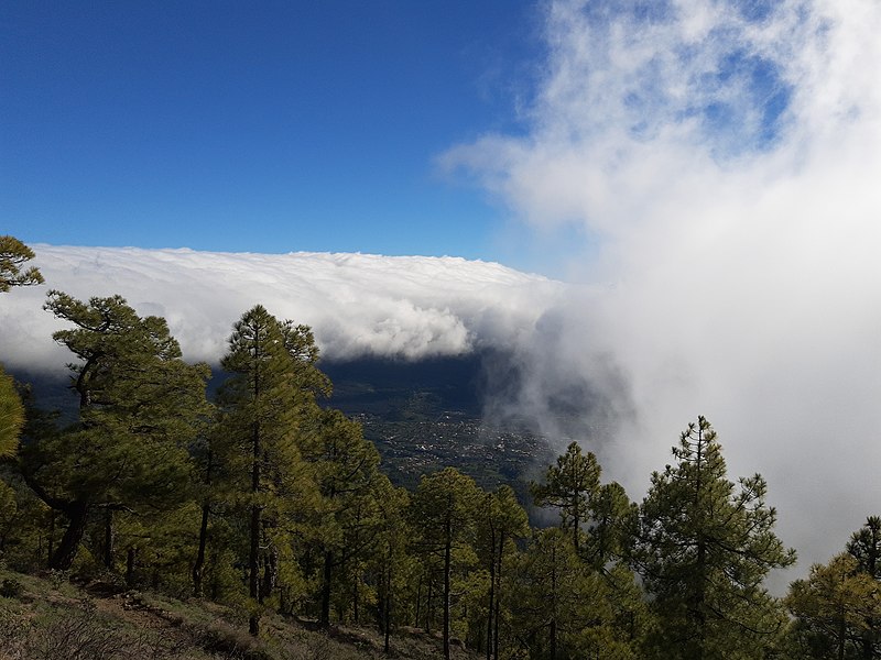 File:Pico de Bejenado, La Palma, twirling clouds.jpg