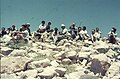 PikiWiki Israel 12029 Gan-Shmuel - a trip to Mount Hermon in 1968.jpg