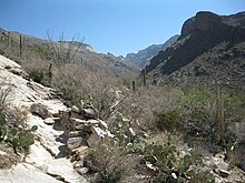 Pima Canyon Trail as it enters the mouth of the canyon, with the top of Table Mountain visible on the skyline at left center
