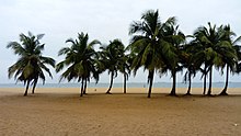 Una playa de arena bordeada de palmeras en Lomé, Togo.
