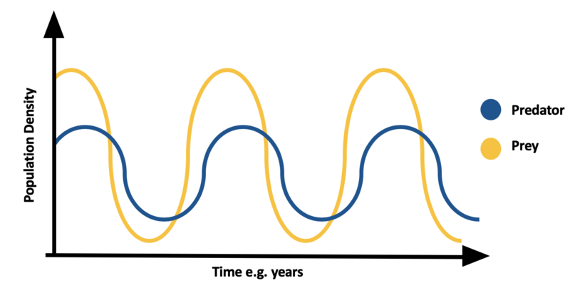 File:Predator prey curve.png