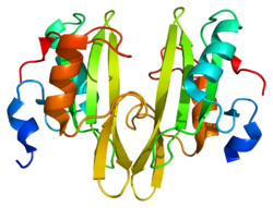 Ақуыз GRB14 PDB 2aug.png