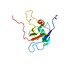 Белок PLXNB1 PDB 2JPH.png