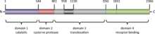 Schematic image of the TcdB protein sequence. Catalytic region shown in blue contains residues 1-543, the cysteine protease region shown in black contains residues 544-801, the translocation region shown in red contains residues 802-1664, and the receptor binding region shown in green contain residues 1665-2366. Protein tcdB pfam domains.png