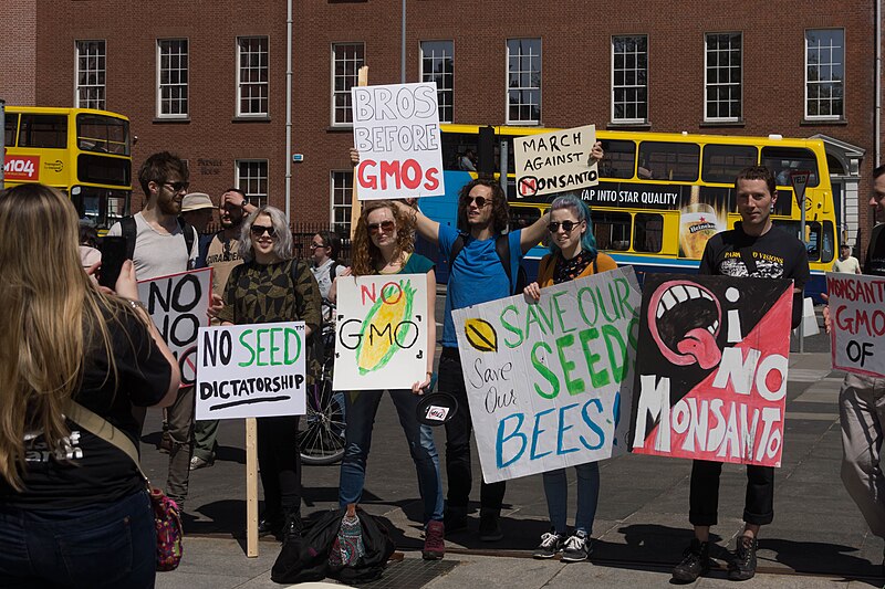 File:Protesting Against Monsanto and GMO.jpg