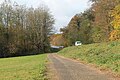 Vue sur Frauenwald, la Forêt de la Faisanderie (Saverne) et la D421.