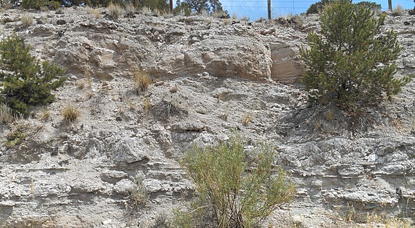 Gypsiferous facies of the Ralston Creek Member exposed in a road cut, Fremont County, Colorado.