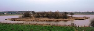 Die Insel mit den Resten einer Burg im Ruppersdorfer See