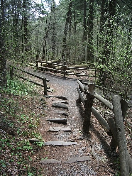 File:Raymondskill Falls - Pennsylvania (5678035716).jpg