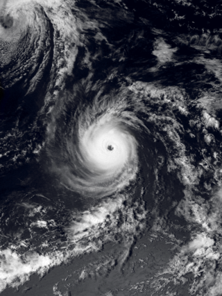 <span class="mw-page-title-main">Hurricane Rick (1985)</span> Category 4 Pacific hurricane in 1985