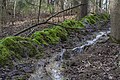 Steinerne Rinne bei Raschbach