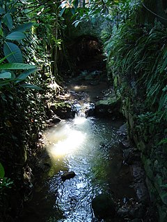 Carioca River River in Brazil