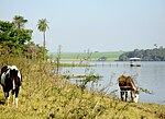 Thumbnail for Dourado River (São Paulo)