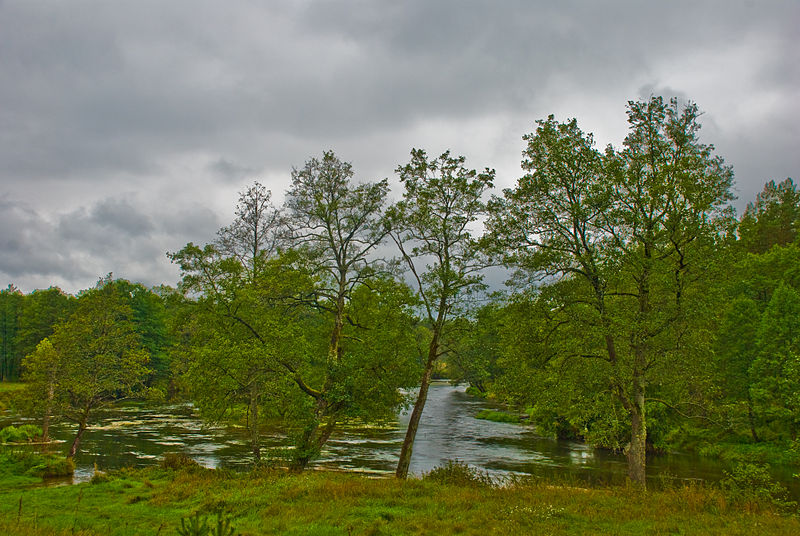 File:River Merkys near Pukovciai, Lithuania, 13 Sept. 2008 - Flickr - PhillipC.jpg