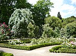 Rosaleda del Real jardín botánico de Madrid