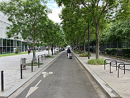 A Rue Lounès-Matoub cikk illusztráló képe