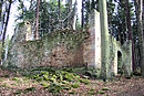 Toepfersdorf ruins.JPG