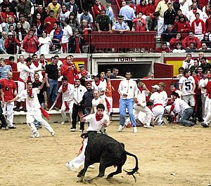 Sanfermines Vaquillas in Pamplona, Spain.