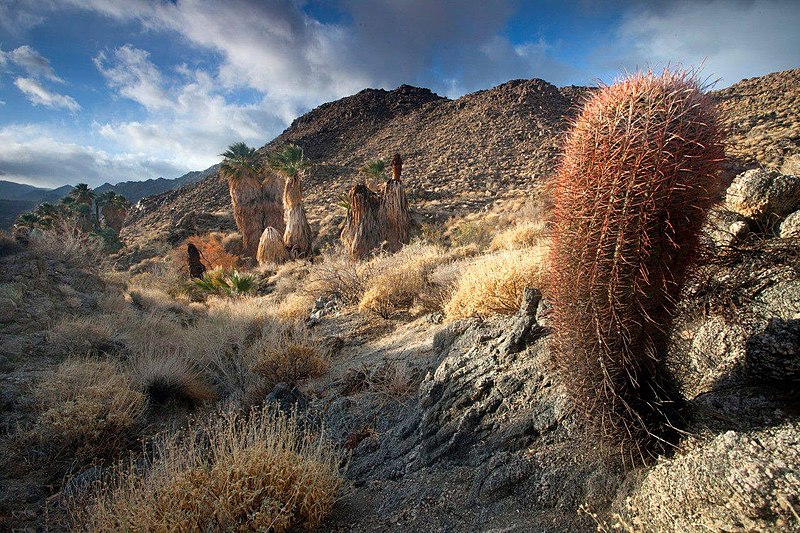 File:Santa Rosa and San Jacinto Mountains National Monument BLM.jpg