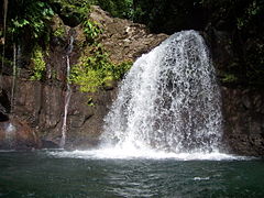 Saut de la Lézarde, Petit-Bourg, Guadeloupe, France.