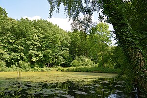 Schleswig-Holstein, Heiligenstedten, Landschaftsschutzgebiet Waldfläche „Heiligenstedtener Holz“ NIK 6677.JPG